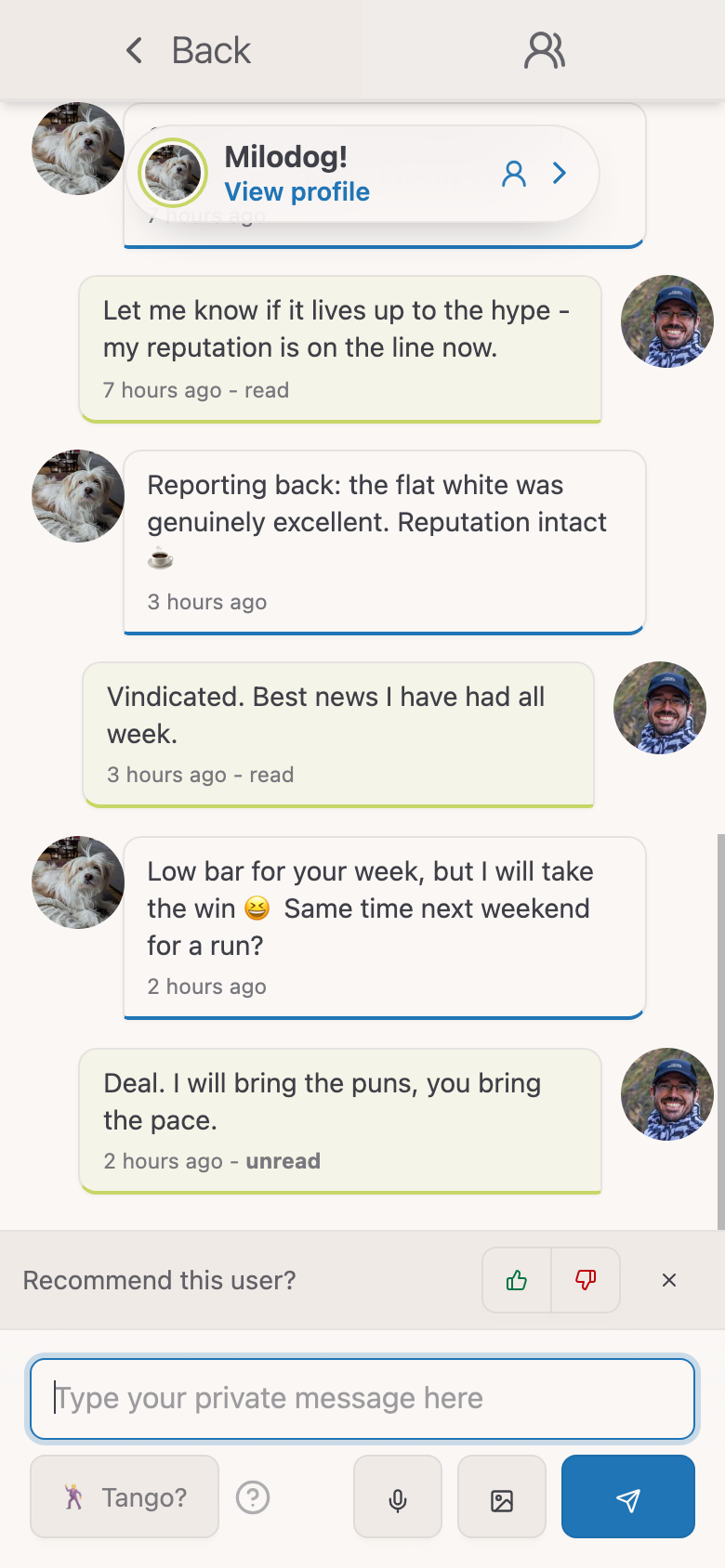 The same chat in light mode
